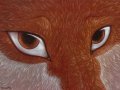 vulpine eyes.jpg